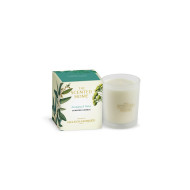 Ashleigh & Burwood Eucalyptus & Vetiver Scented Candle