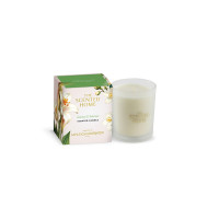 Ashleigh & Burwood Jasmine & Tuberose Scented Candle