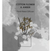 Cotton Flower & Amber