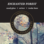 Enchanted Forest