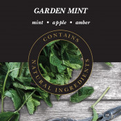 Garden Mint