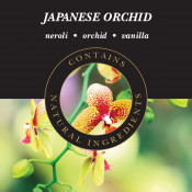 Japanese Orchid