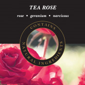 Tea Rose