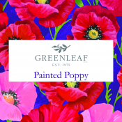 Painted Poppy