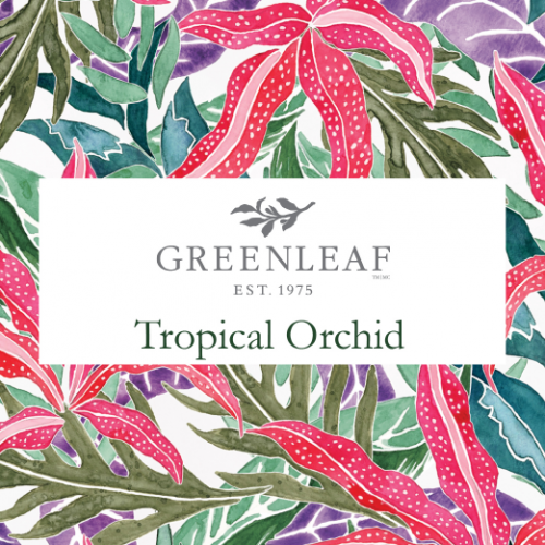 Tropical Orchid