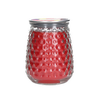 Greenleaf Primary Punch Signature Candle