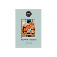Bridgewater Candle Company - Scented Sachet - Harvest Pumpkin