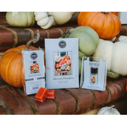 Fragrance of the month October