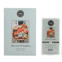 Bridgewater Candle Company - Bundle - Harvest Pumpkin