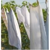 Laundry Line