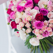 Blumen