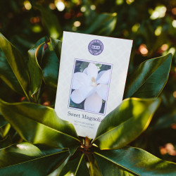Fragrance of the month August